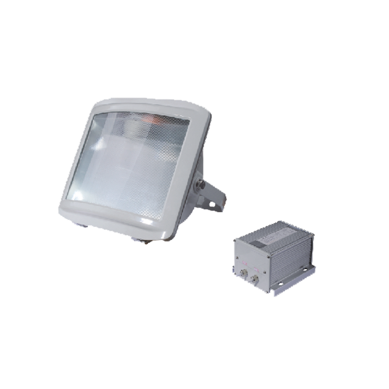 NSE9720應(yīng)急泛光燈